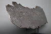 Iron Meteorite Slice, Aletai - 2.95 kg