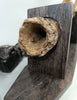 Woolly Mammoth Tusk Pair, Dwarf Subspecies