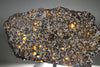 Brahin Pallasite - 509 grams