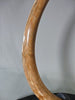 Woolly Mammoth Tusk - 39.5”