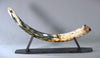 Woolly Mammoth Tusk - 40”