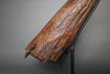 Large Triceratops Brow Horn - 22”