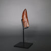 Carcharodontosaurus Tooth - 4.64"