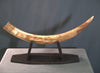 Woolly Mammoth Tusk - 31.5”