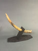 Woolly Mammoth Tusk - 23"