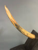 Woolly Mammoth Tusk - 23"