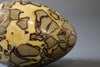 Septarian Nodule Egg Sculpture - 9.65"