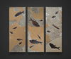 Dramatic Fossil Fish Triptych - 66 x 60 inches