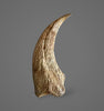Matchless Spinosaurus Hand Claw - 5.17"