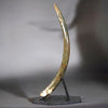 Woolly Mammoth Tusk - 41"