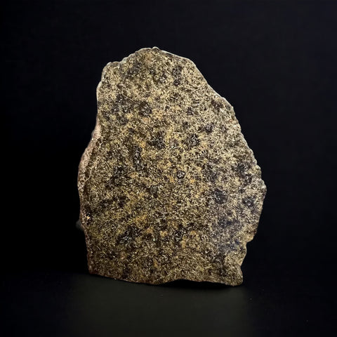 Martian Meteorite Slice, Shergottite - 23.5 grams