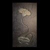 Large Pyritized Crinoid, Posidonia Shale - 74.8 x 37.4 in.