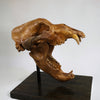Fossil Cave Bear Skull, 19”