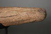 Triceratops Brow Horn - 18"