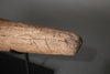 Triceratops Brow Horn - 18"