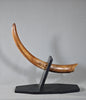Woolly Mammoth Tusk - 29"
