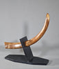 Woolly Mammoth Tusk - 29"