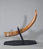 Woolly Mammoth Tusk - 29"