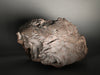 VS #2 - Oriented Stone Meteorite with Flight Lines, 24.7 kg