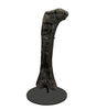 Massive Sauropod Femur - 58"