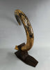 Woolly Mammoth Tusk - 69"
