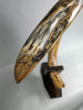 Woolly Mammoth Tusk - 69"