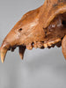 Fossil Cave Bear Skull, 18"