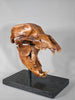 Fossil Cave Bear Skull, 18"