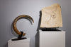 Woolly Mammoth Tusk - 69"