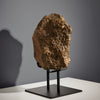 Lunar Meteorite Evidencing  Subsurface Water - 10.8 kg