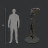 Massive Sauropod Femur - 58"