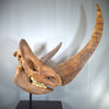 Woolly Rhino Skull