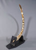 Woolly Mammoth Tusk - 48"