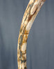 Woolly Mammoth Tusk - 48"