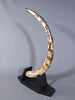 Woolly Mammoth Tusk - 48"
