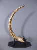 Woolly Mammoth Tusk - 48"