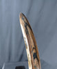 Woolly Mammoth Tusk - 48"