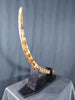 Woolly Mammoth Tusk - 44.5"