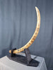 Woolly Mammoth Tusk - 44.5"