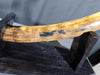 Woolly Mammoth Tusk - 44.5"