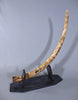 Woolly Mammoth Tusk - 44.5"