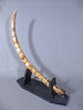 Woolly Mammoth Tusk - 44.5"