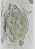 Rare Fossil Solnhofen Turtle for Sale - Restoration Map