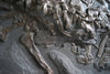 Fossil Crocodile for Sale - Steneosaurus bollensis from Holzmaden - 13.45 feet long - 6 - Skin Impression
