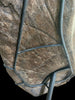 Superb Triceratops Frill Bone (Squamosal), 27"