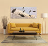 Large Mural, 7 Fish  - 69" x 32"