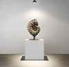 Large Bladed Ammonite, Lytoceras cornicupae