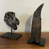 Huge Tyrannosaurus rex Tooth, Fully Rooted - 9.64”