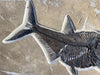 Large Fish with Small Fish in Belly