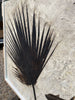 Fossil Palm with Fish - 72" x 70"